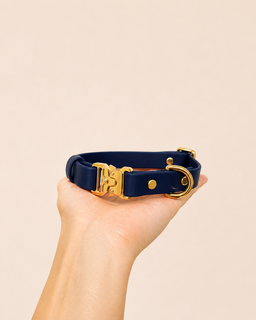 Classic Collar