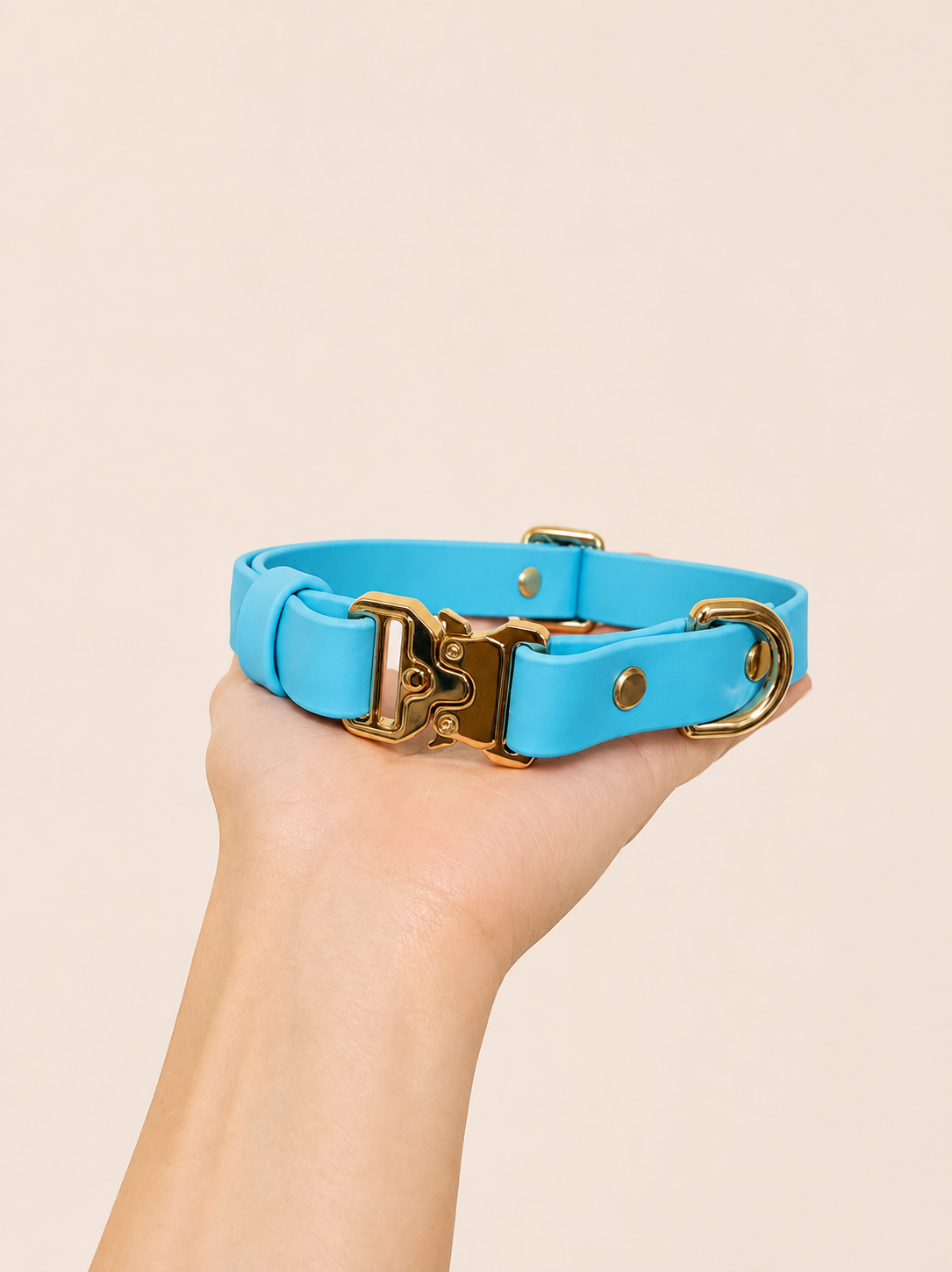 Classic Collar_2