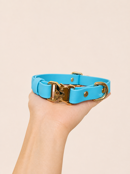 Classic Collar