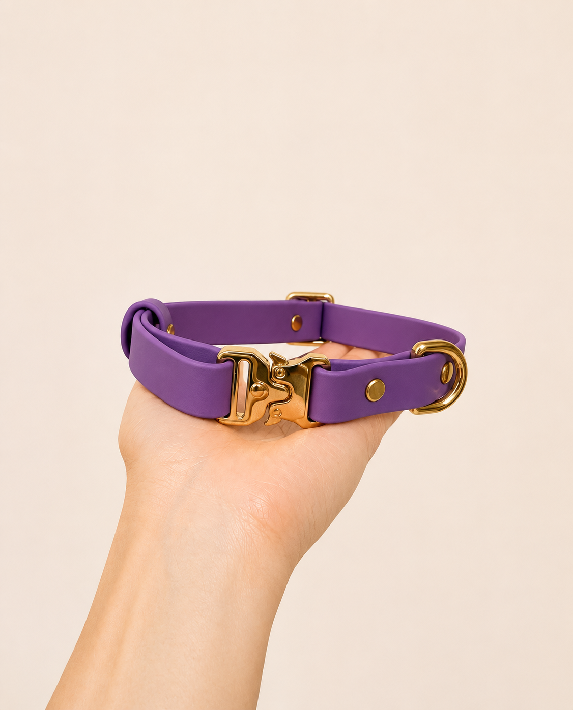 Classic Collar_3