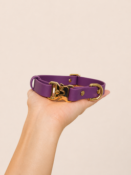 Classic Collar