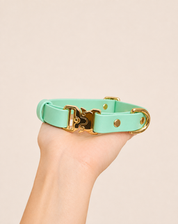 Classic Collar