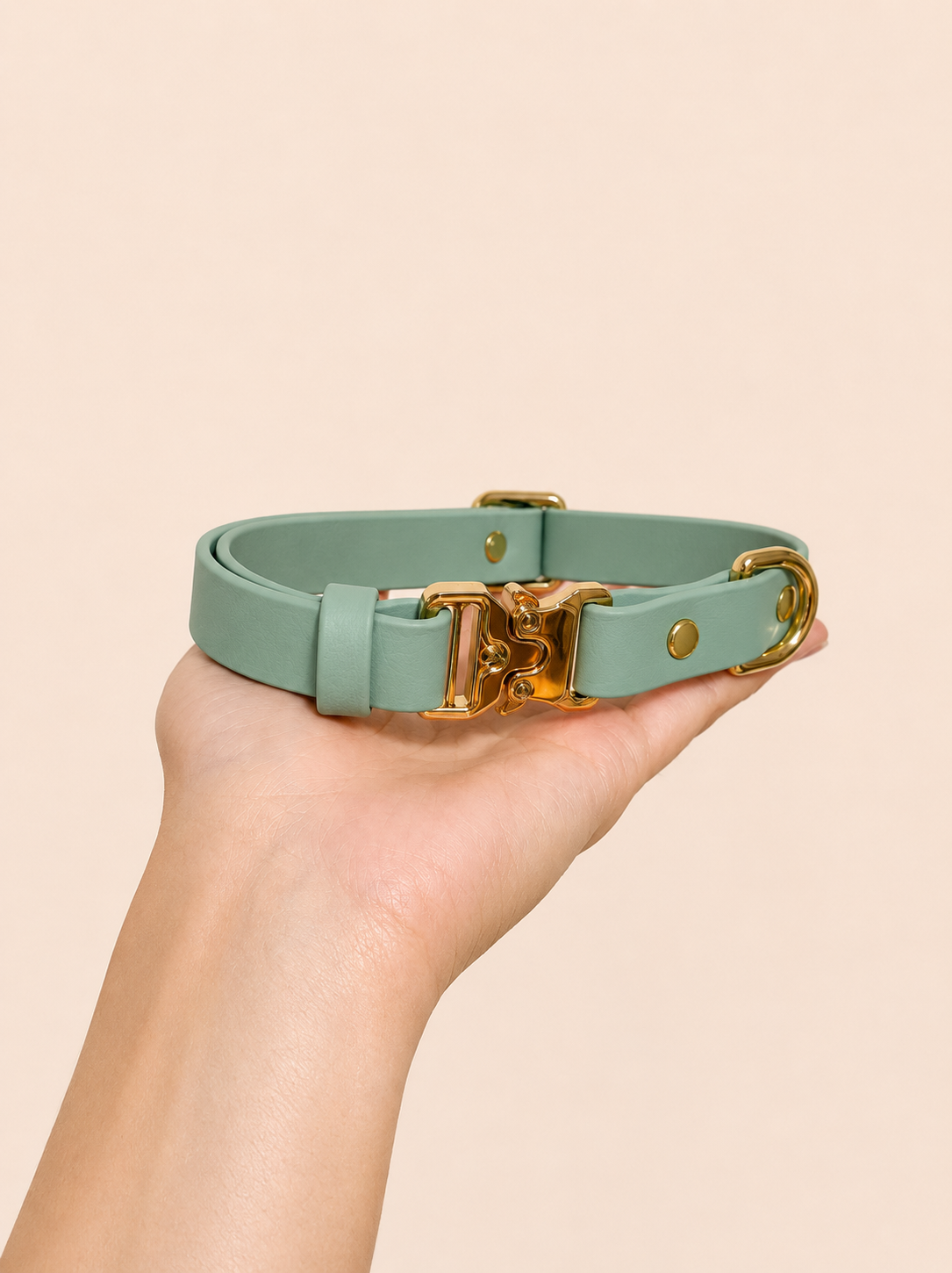 Classic Collar_6