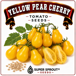 🍅YELLOW PEAR TOMATOES🍅  x 10 seeds