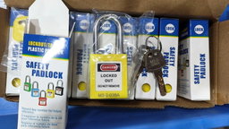 Steel Shackle Padlock