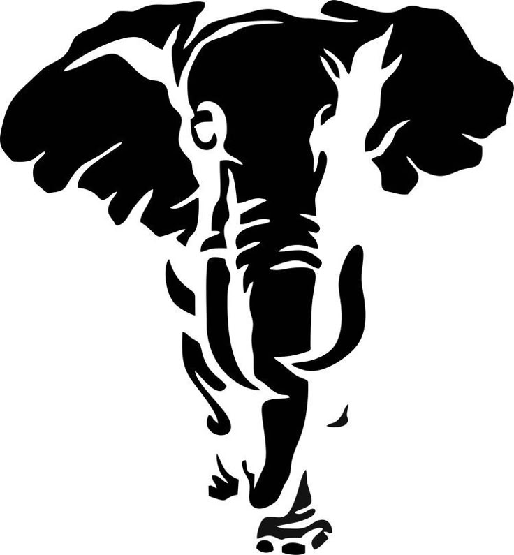 Elephant _0