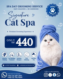 Signature Cat Spa