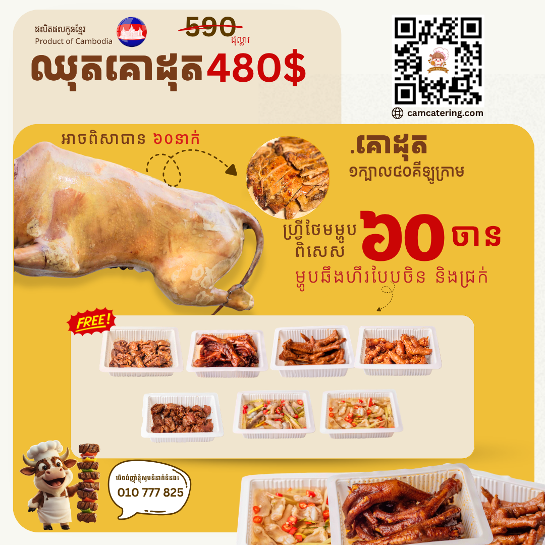 គោដុតពិសេស B480