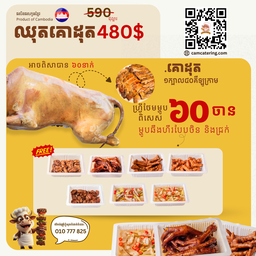 គោដុតពិសេស B480
