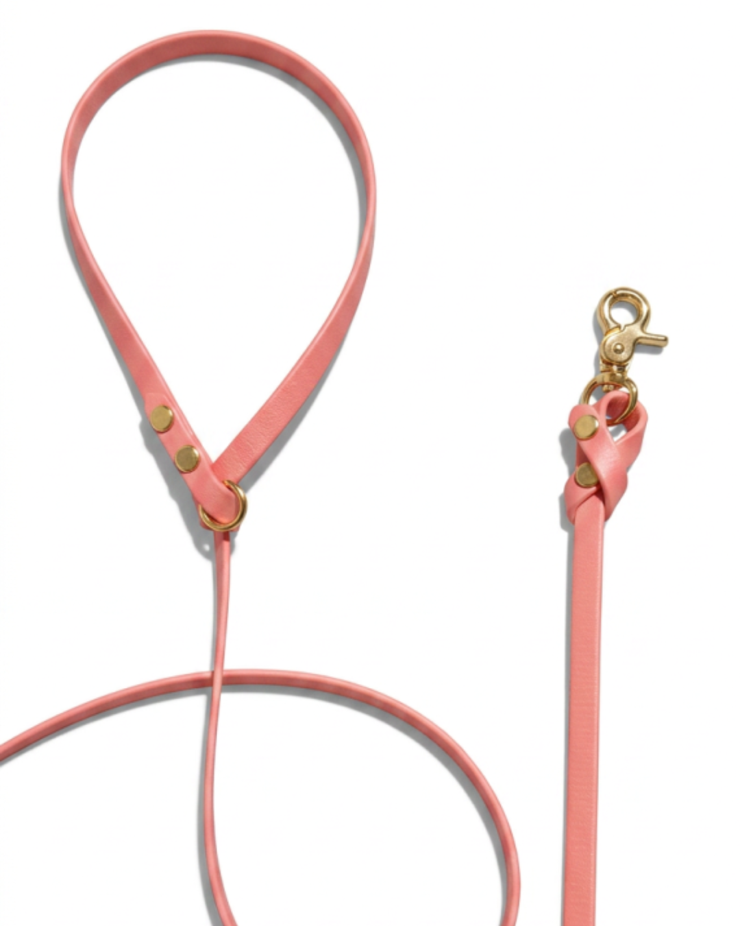 Biothane Leash_19