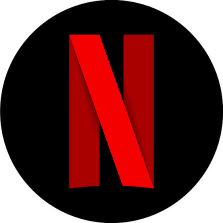 NETFLIX SUBSCRIPTION