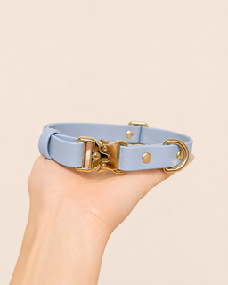 Classic Collar