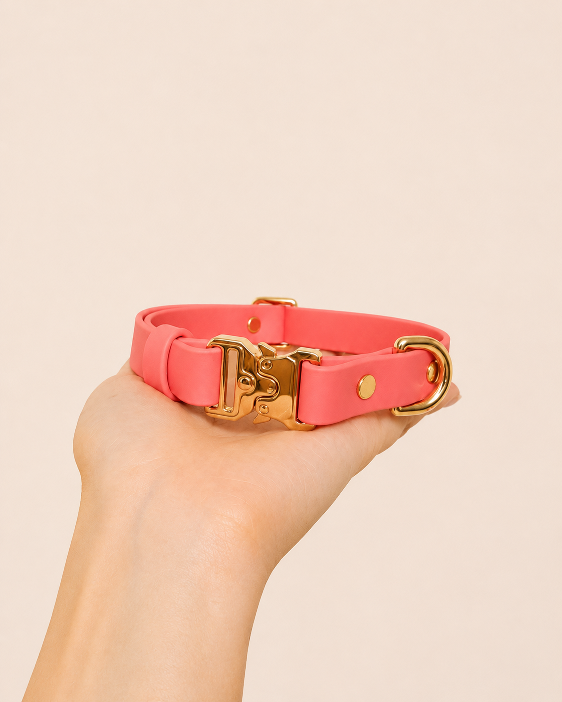 Classic Collar_9