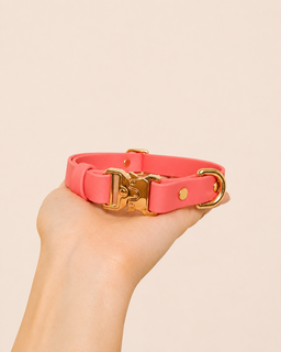 Classic Collar