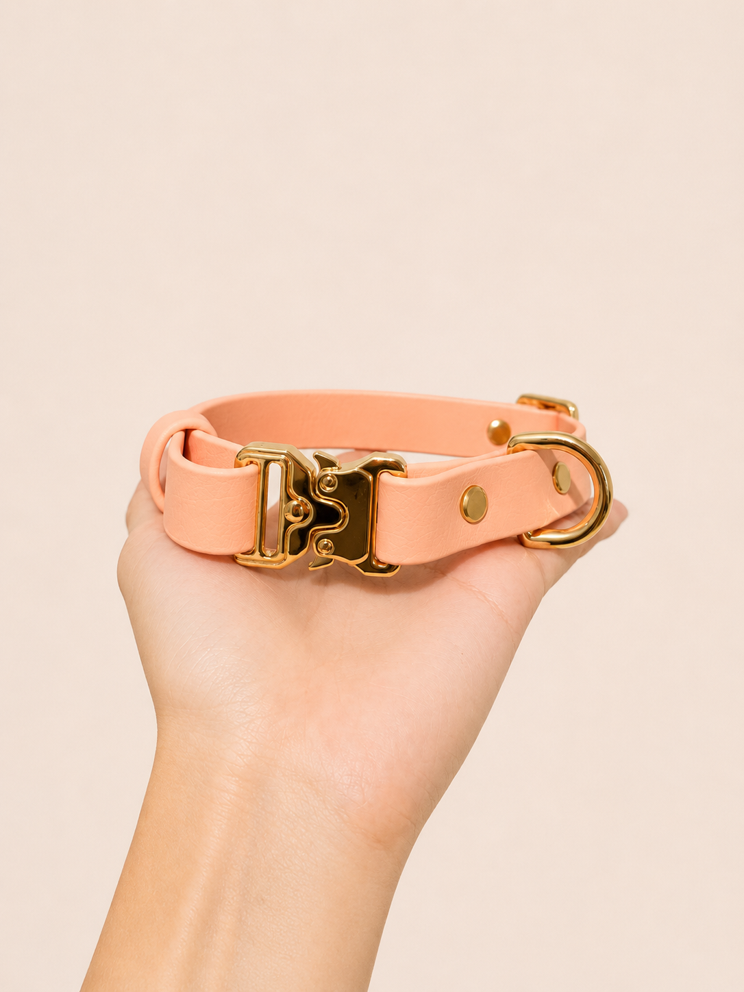 Classic Collar_8