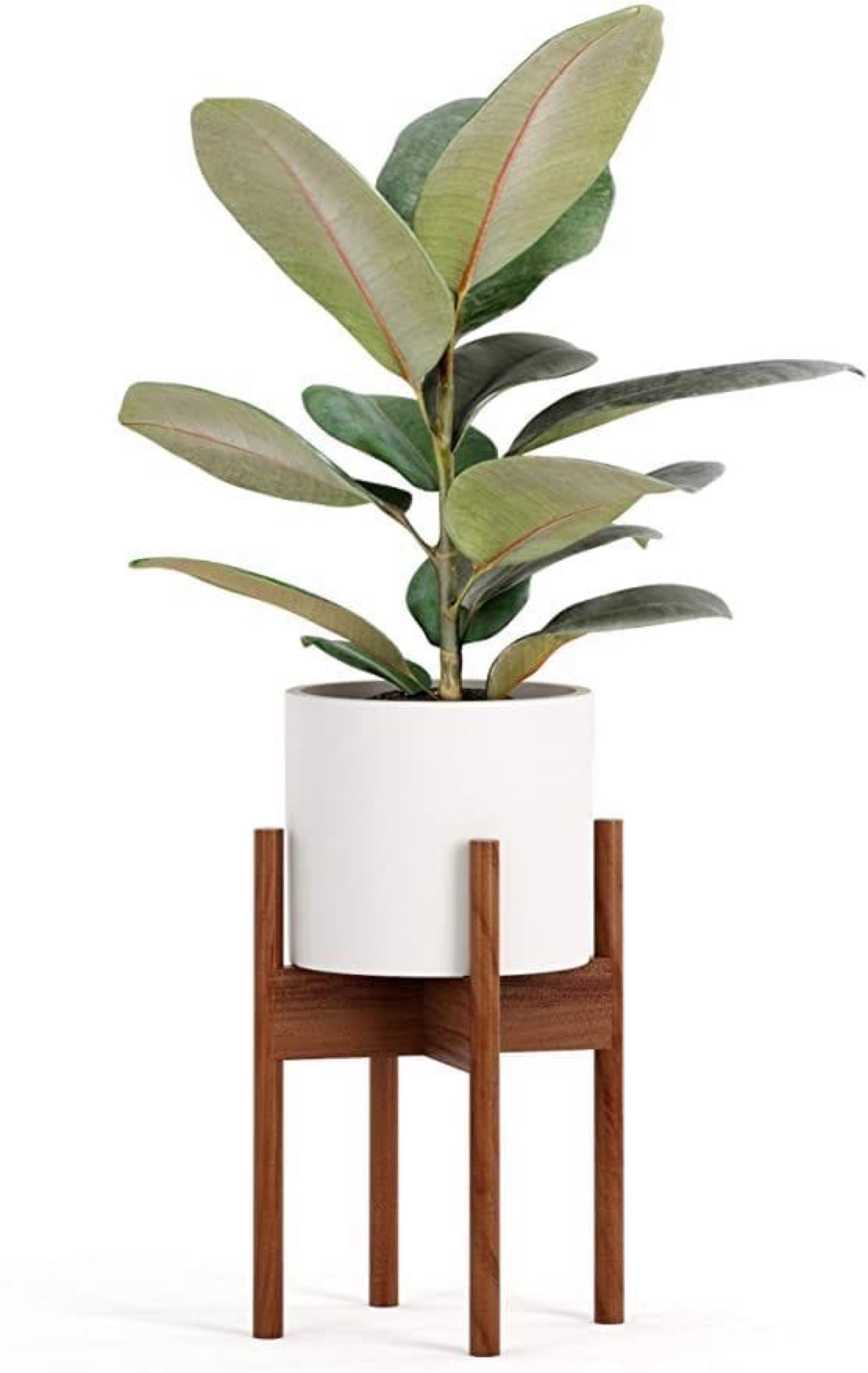 Artificial plant_0