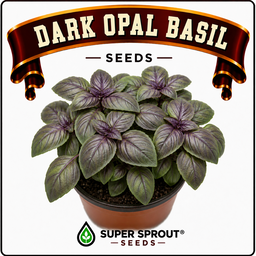 Basil collection pack x 9 packs 
