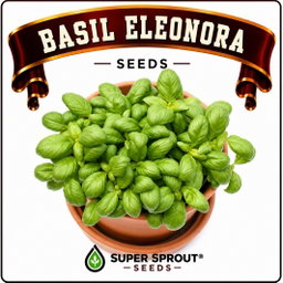 Basil collection pack x 9 packs 