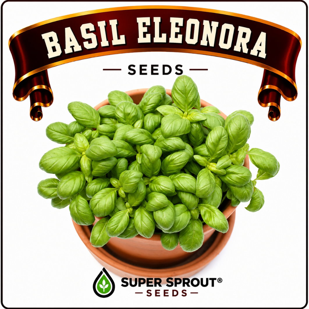 Basil collection pack x 9 packs _3