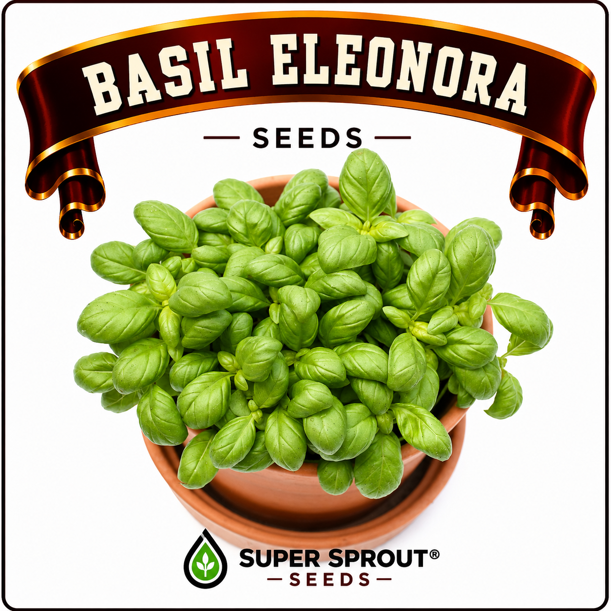 Basil collection pack x 9 packs _7