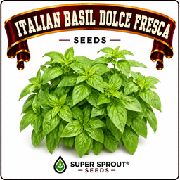 Basil collection pack x 9 packs 