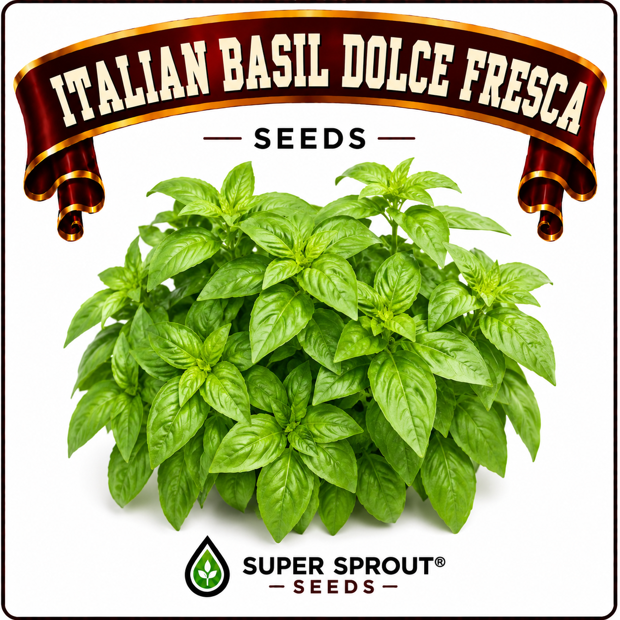 Basil collection pack x 9 packs _8