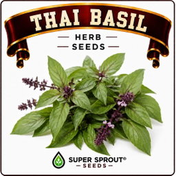 Basil collection pack x 9 packs 