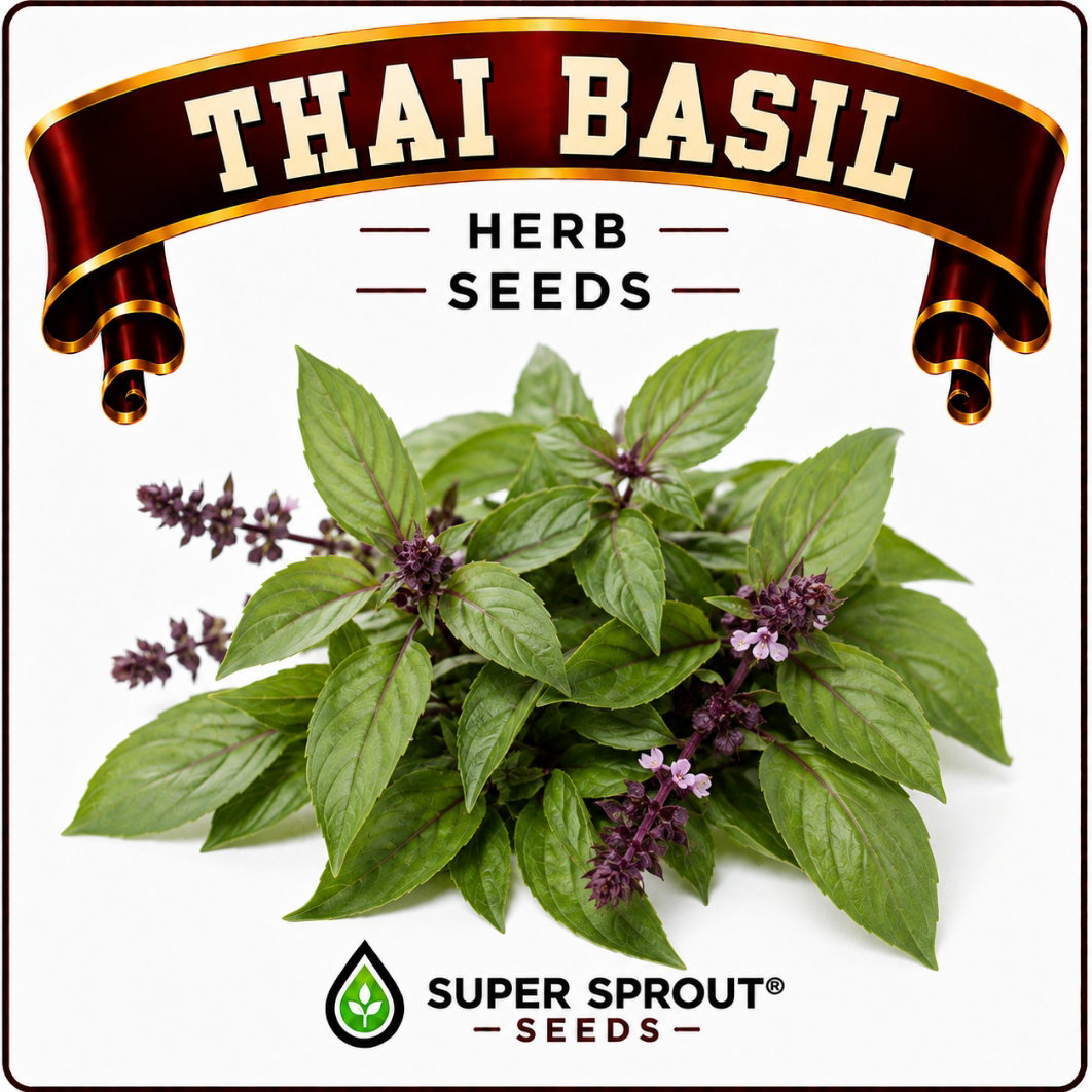 Basil collection pack x 9 packs _9