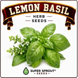 Basil collection pack x 9 packs 