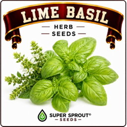Basil collection pack x 9 packs 