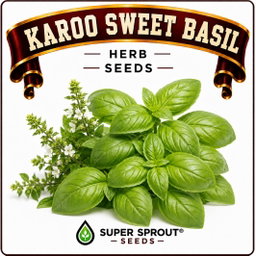 Basil collection pack x 9 packs 