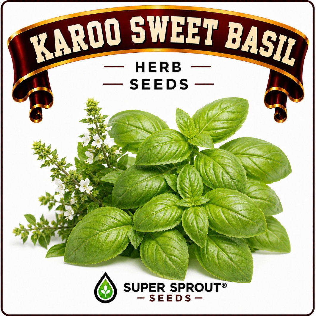 Basil collection pack x 9 packs _5