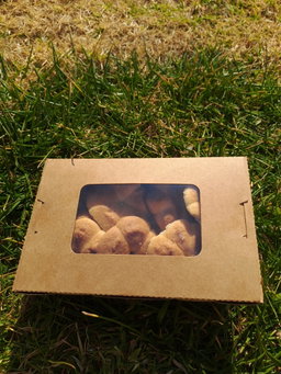 Biscuits 
