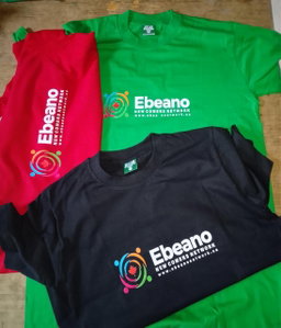 Printing (Mugs, Tshirts e.t.c)