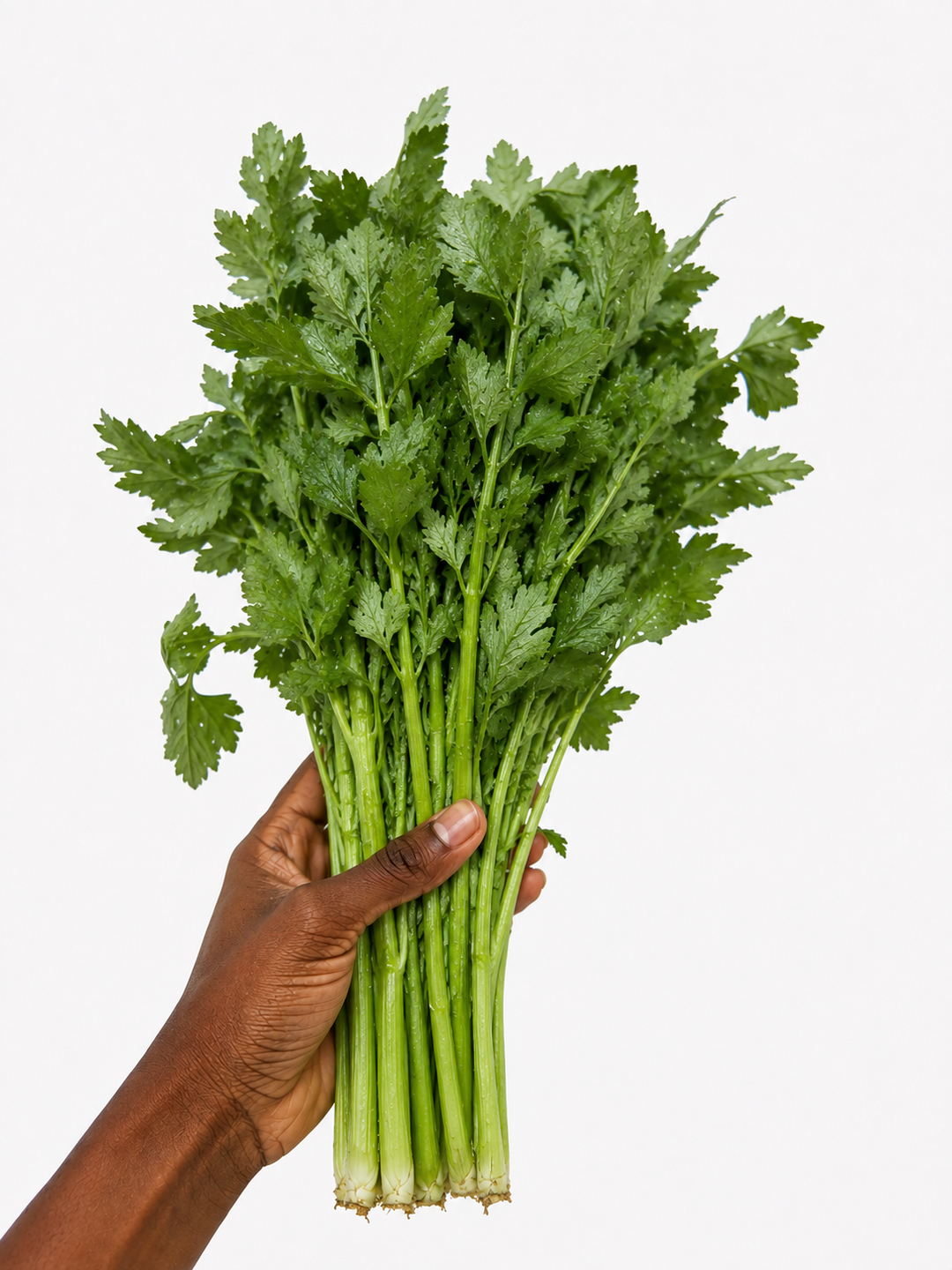 Celery x 1 bunch