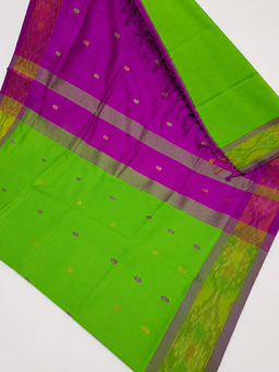 Silk cotton saree 
