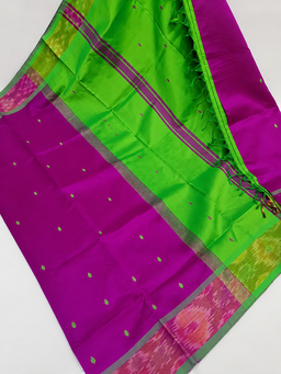 Silk cotton saree 