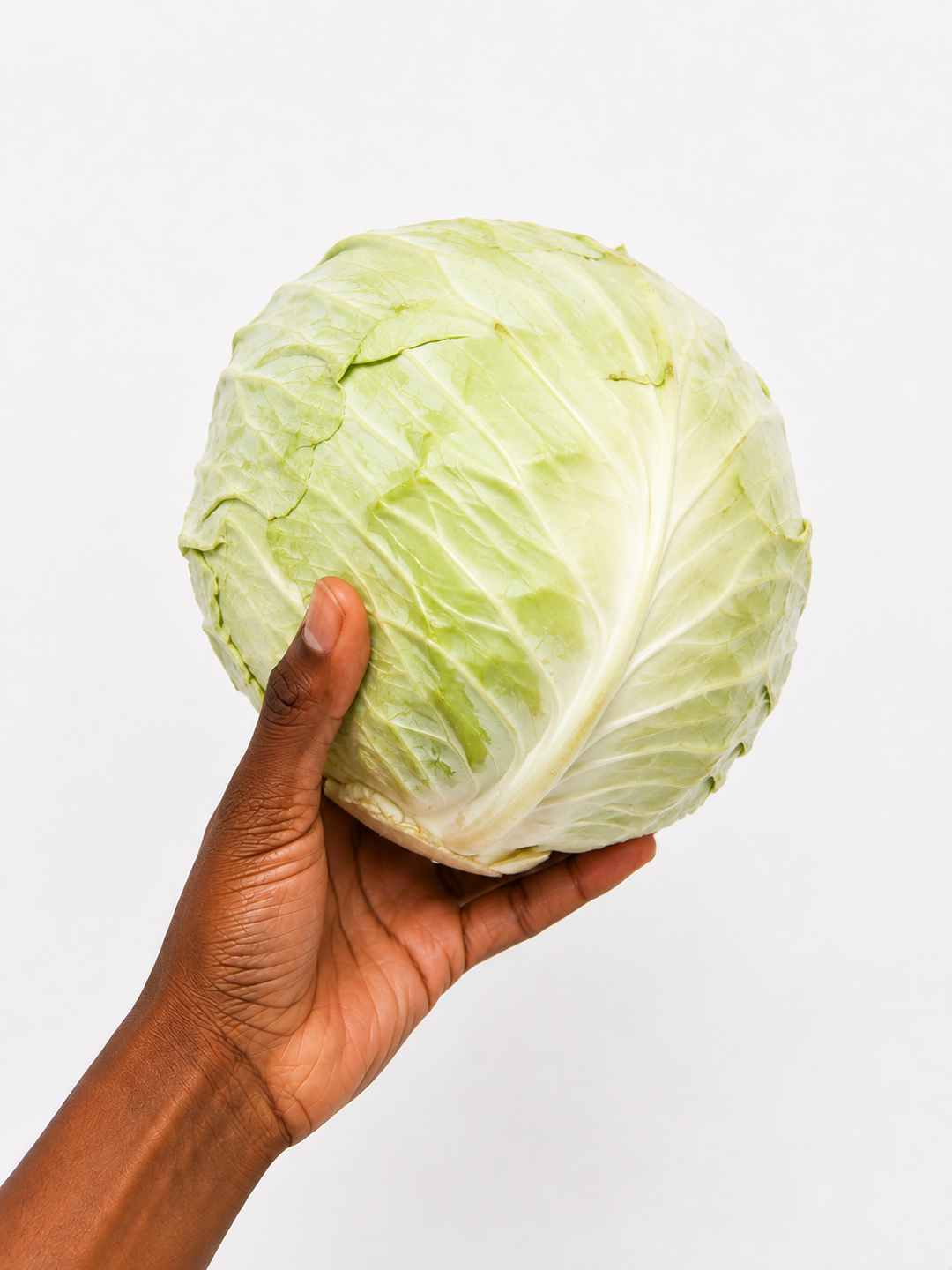 Cabbage white x1