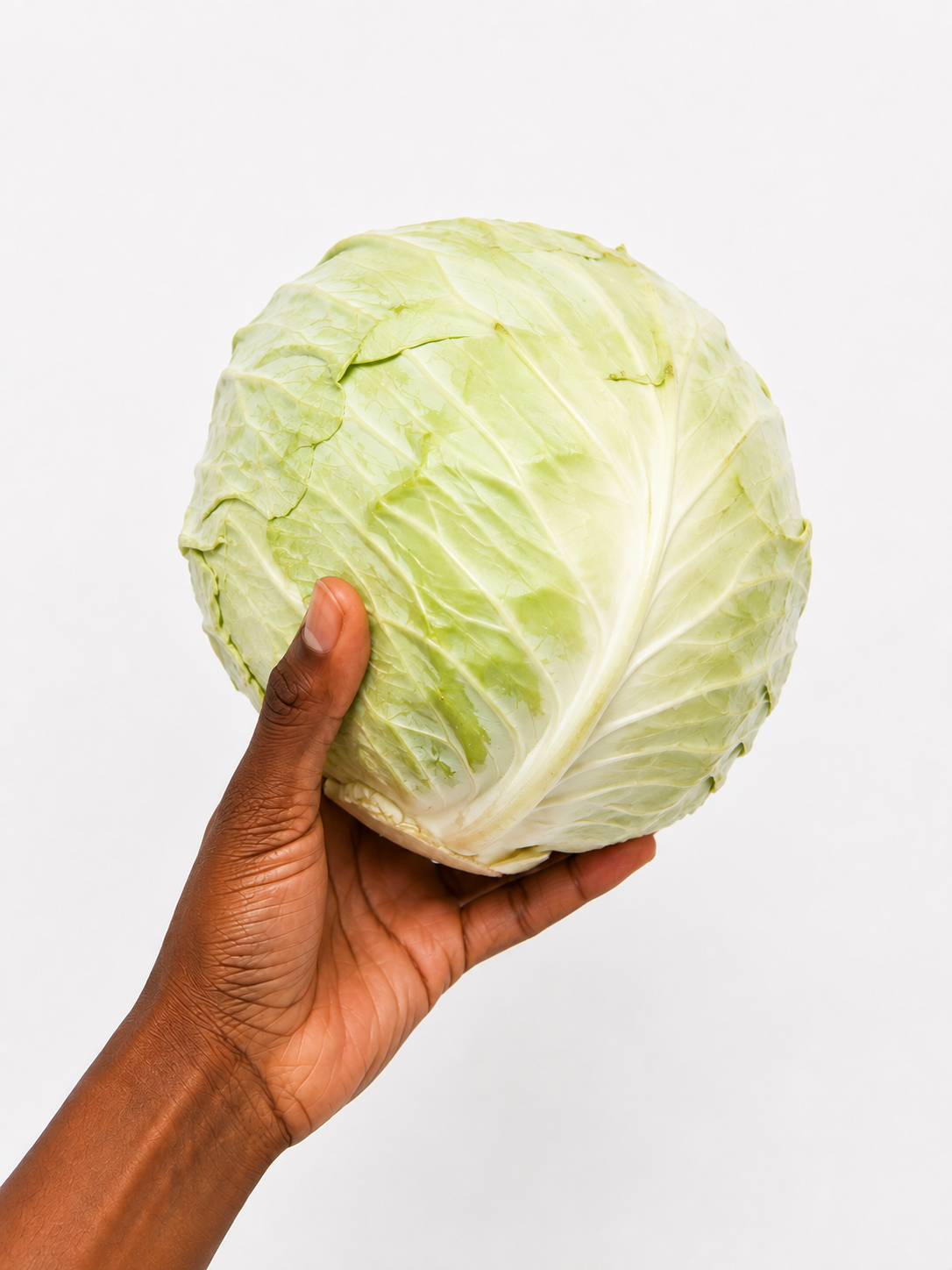 Cabbage white x1_0