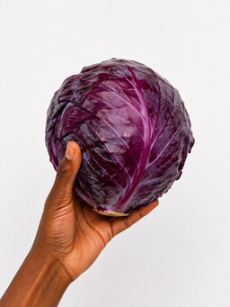 Red cabbage x 1