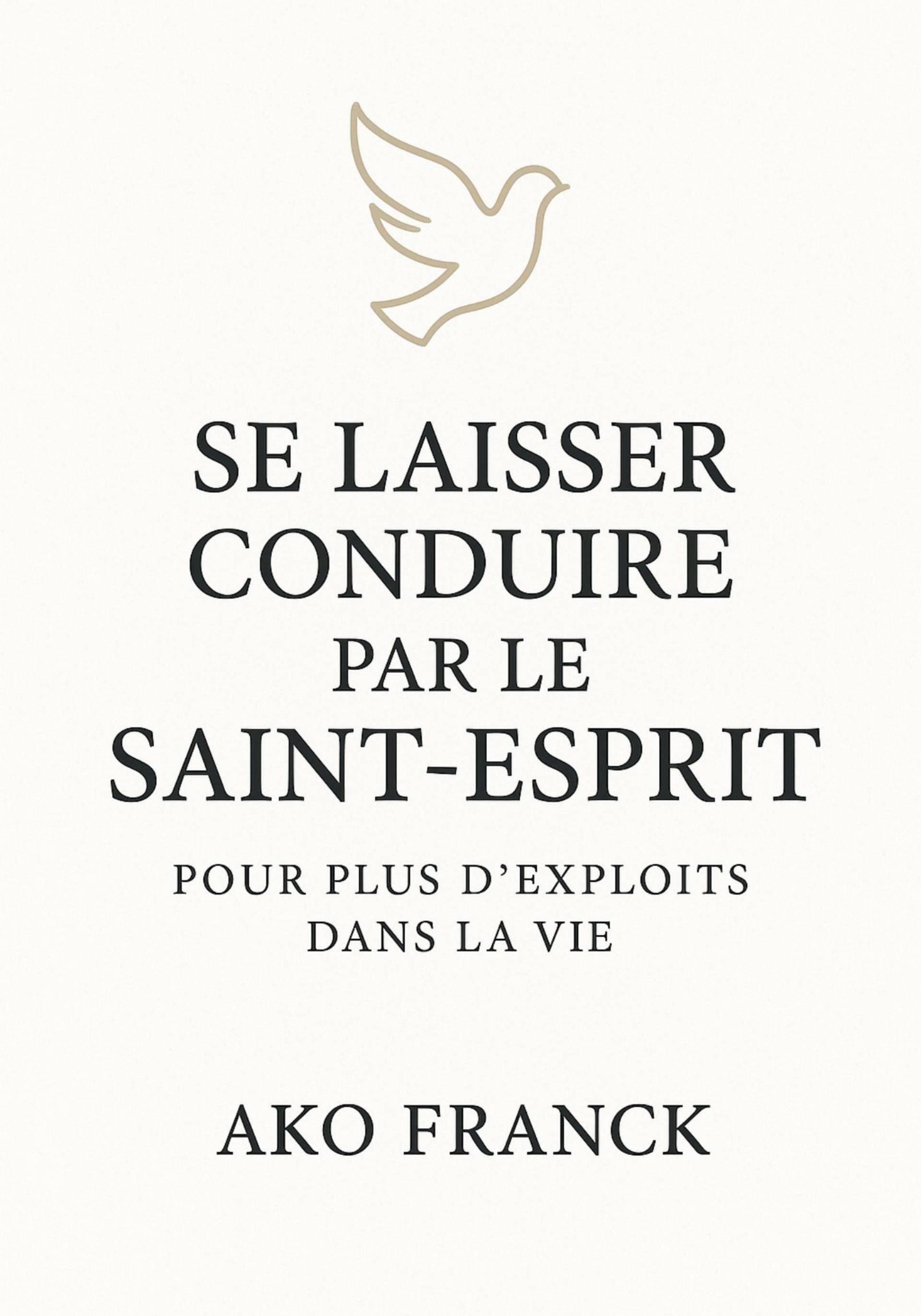Se laisser conduire par le Saint Esprit_0