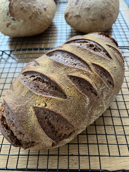 New York Deli Rye Sourdough