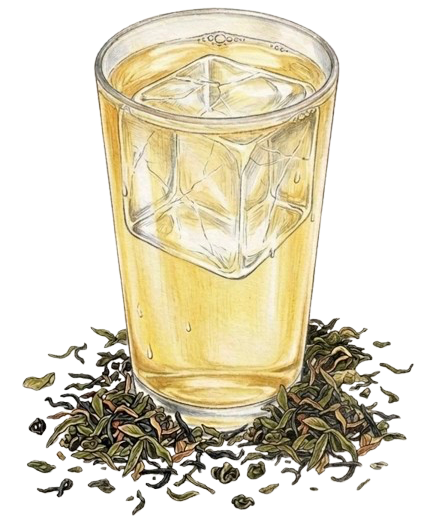 Cold Brew Tea