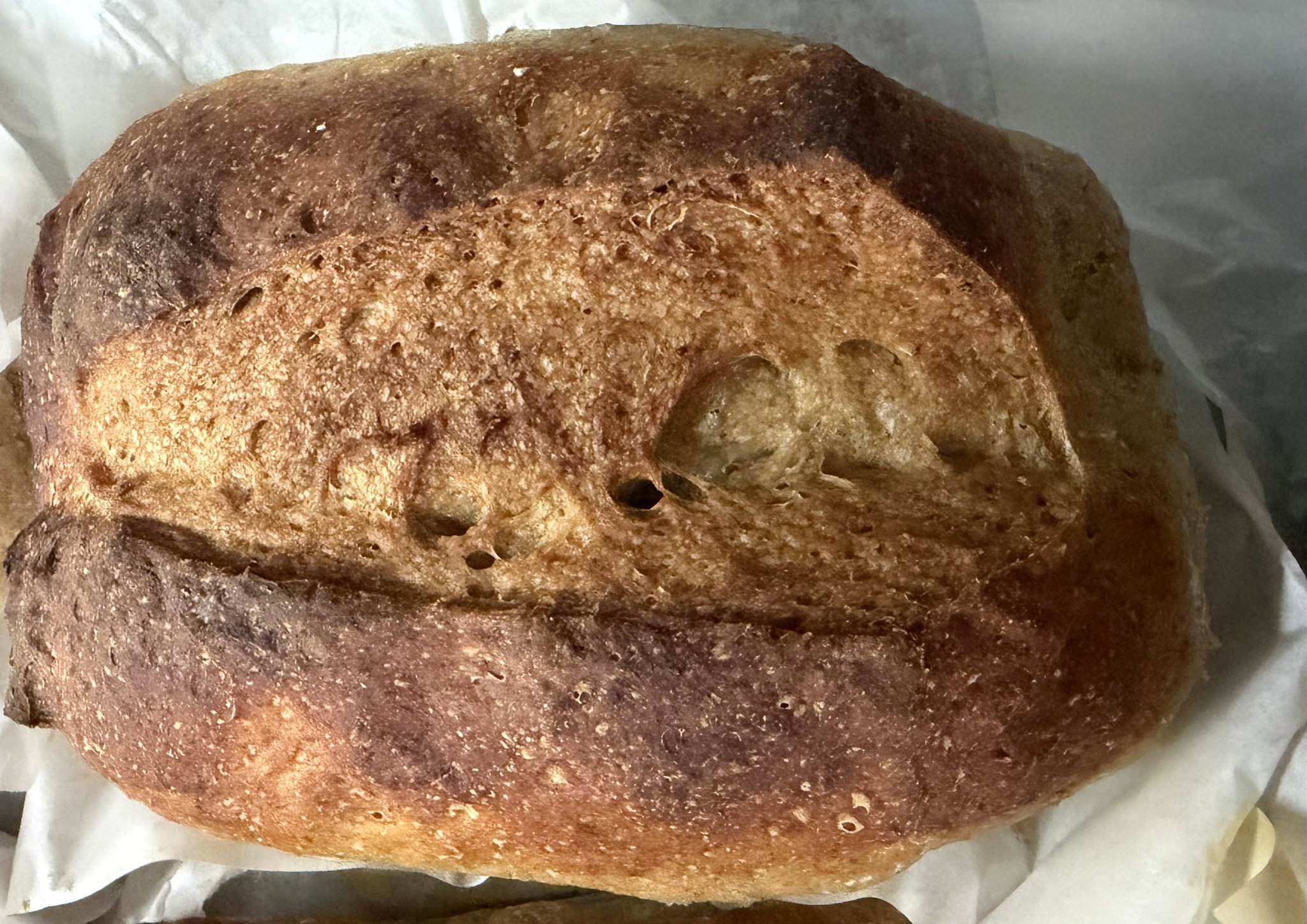 Gluten Free Sourdough Style Bread_0