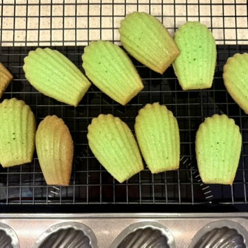 Pandan Madeleines _1