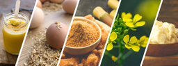 Organic Foods