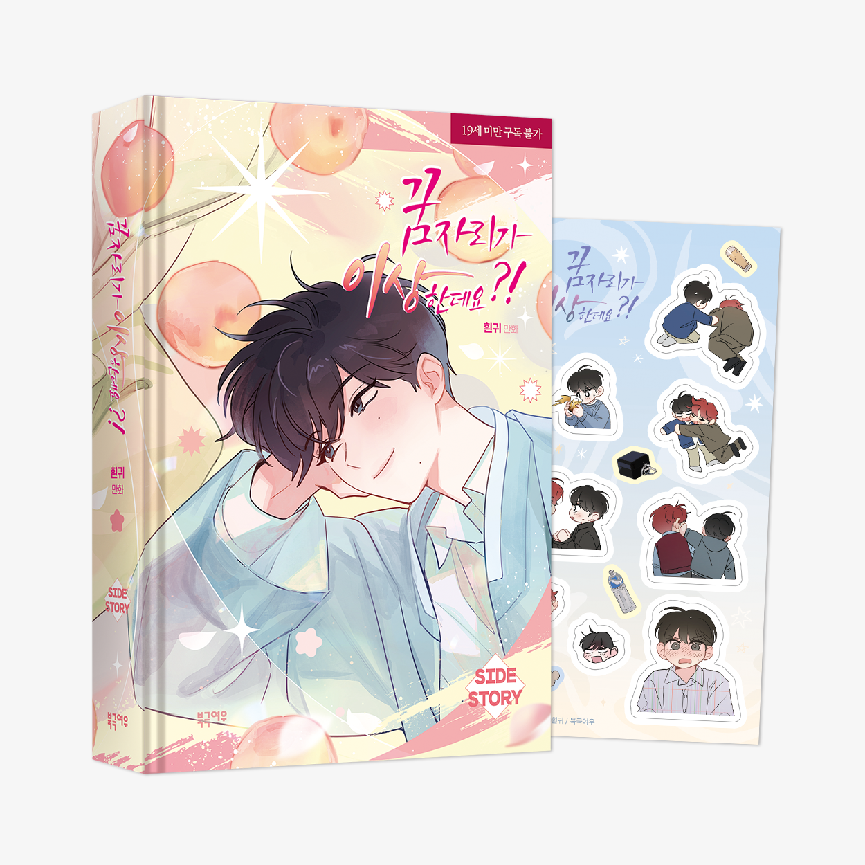 It's Just a Dream...Right?! - Side story Book (Korean Ver)_1