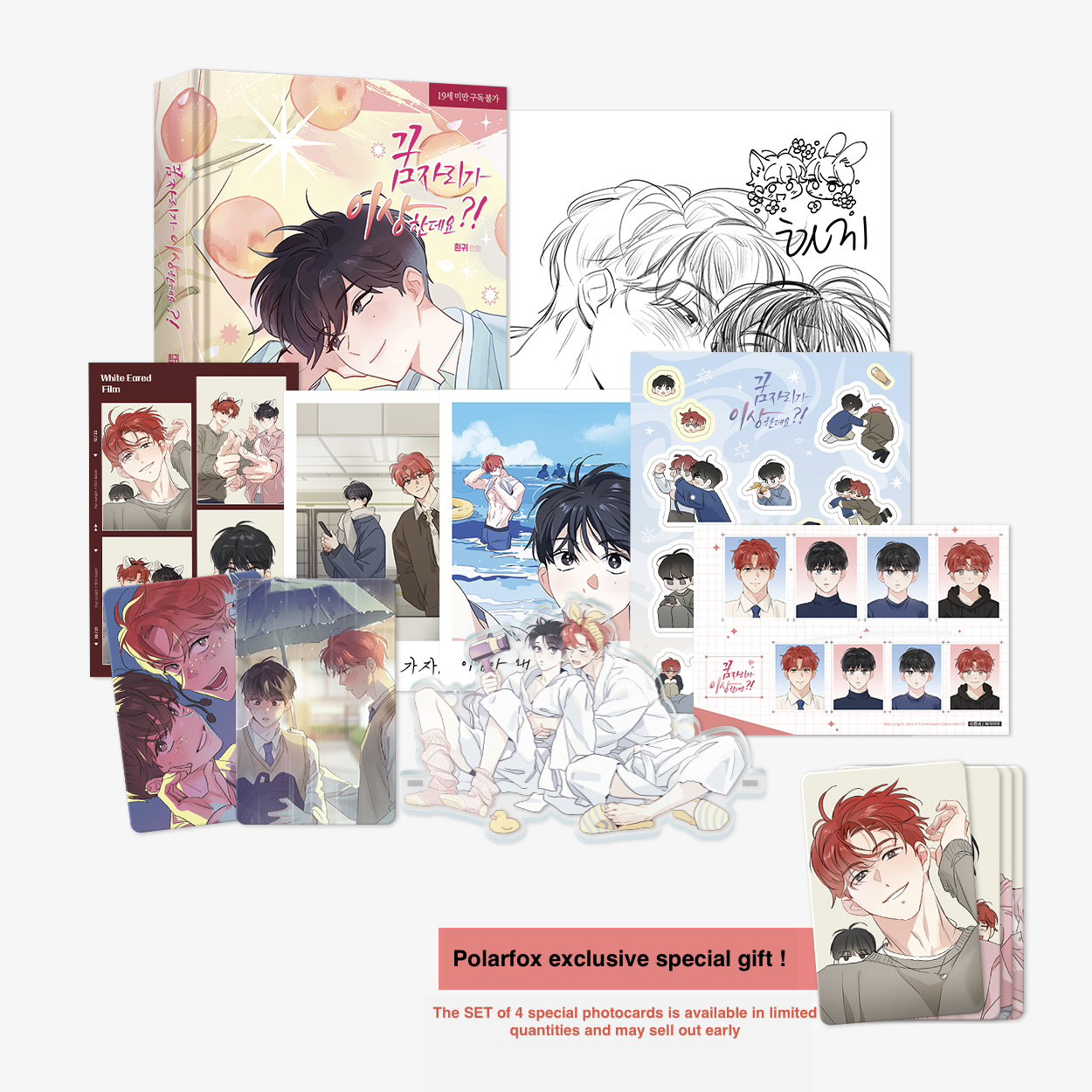 It's Just a Dream...Right?! - Side story Book (Korean Ver)_3