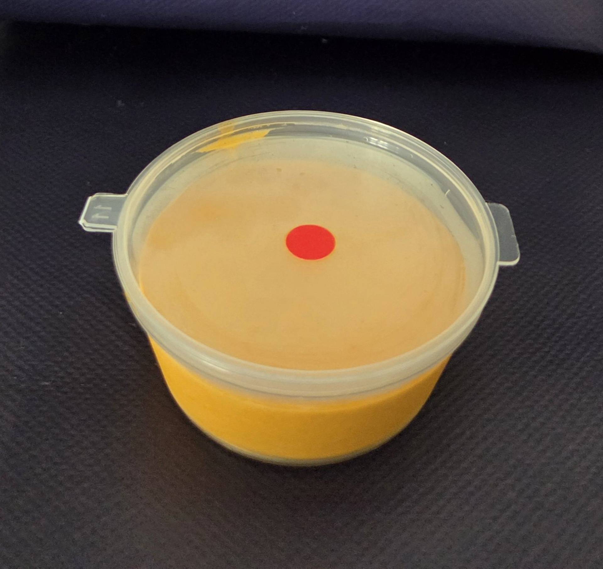 Homemade Cheez Whiz Dip (Add On)_0