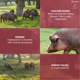 RAMOS Iberian Pork Jowl (Papada)  - 1 Packet